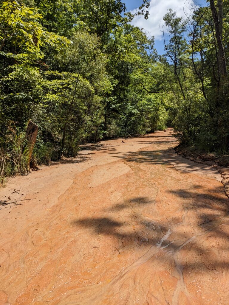 Canyon Floor at Providence Canyon State Park, GA